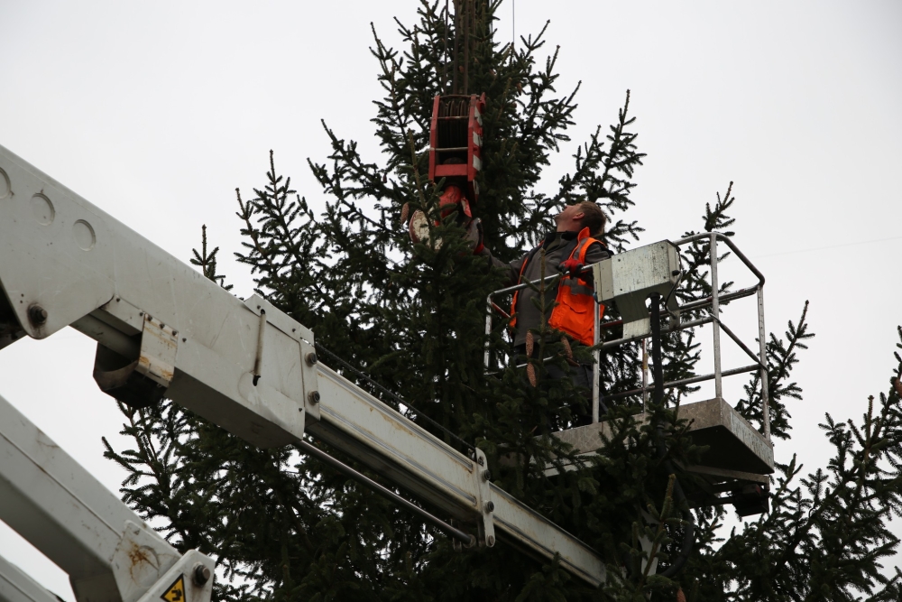  Roudnice má vánoční strom, věnovaly ho Ledčice