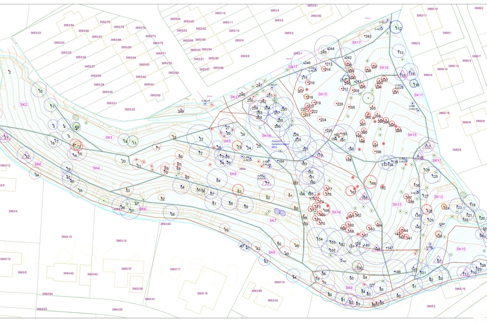  Zahajujeme kácení proschlých stromů v&nbsp;Hlubokém parku