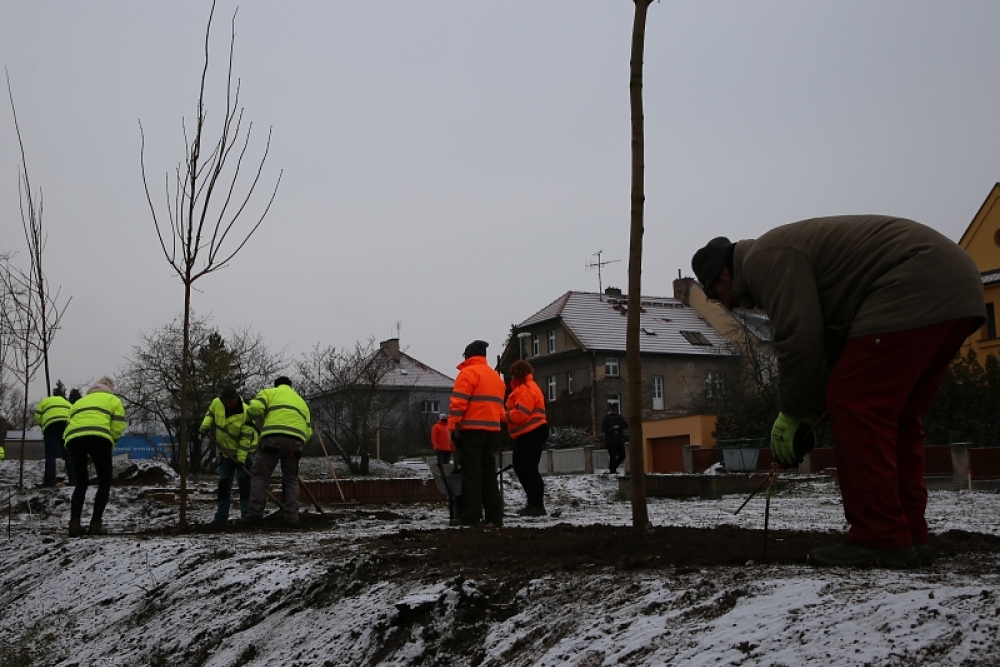  Na novou výsadbu naváže rekonstrukce Smetanova náměstí