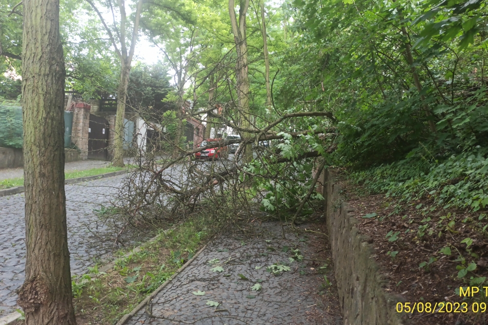  Pád stromů na chodník