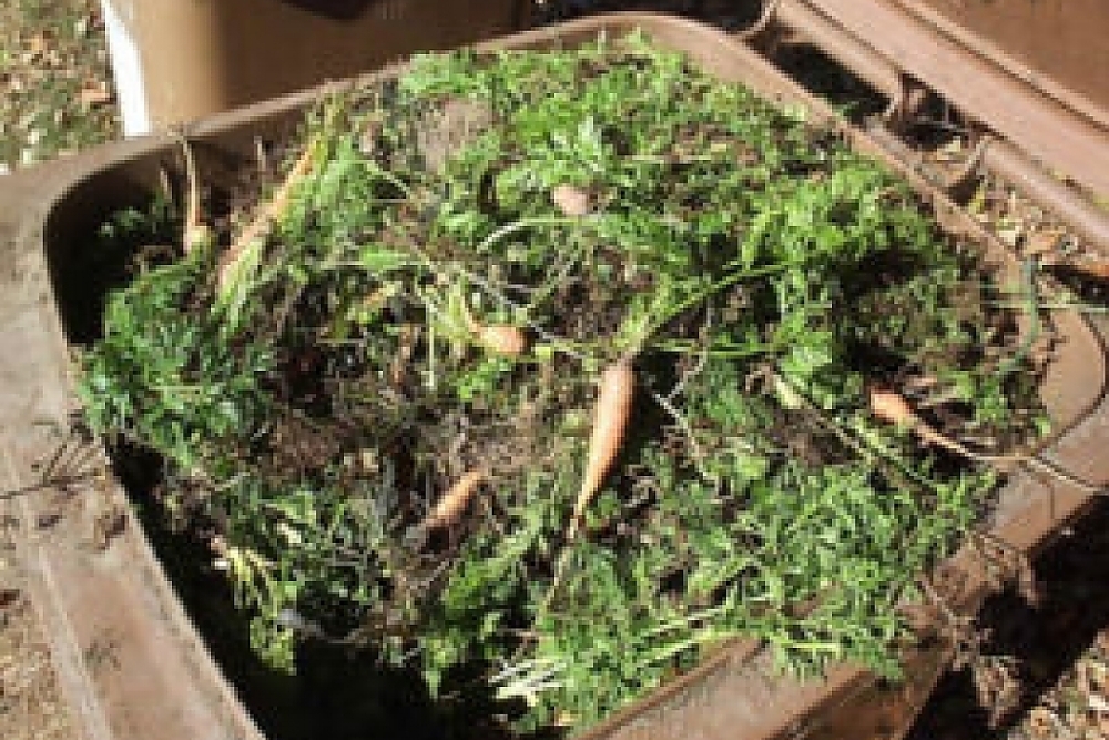  Harmonogram svozu bioodpadu 2024